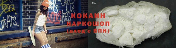 спиды Богородицк