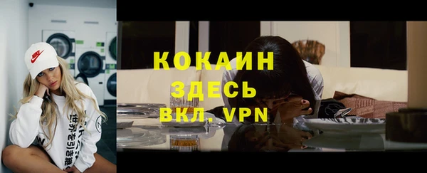 спиды Богородицк