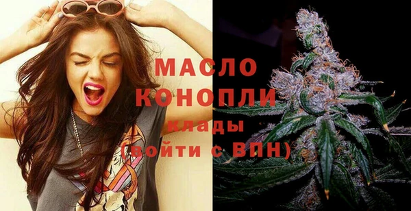 спиды Богородицк