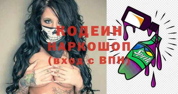 спиды Богородицк