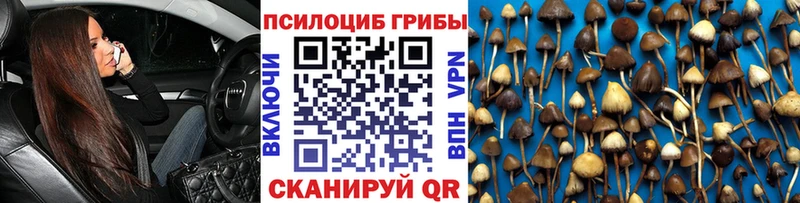 Галлюциногенные грибы Psilocybine cubensis  купить наркотики цена  Богучар 